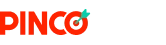 Logo pinco-kz.newsnhk.com